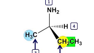 Organic Chemistry  Assigning Priority [upl. by Shelly]