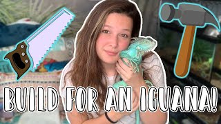 Building an Iguana Enclosure  What Materials to Use [upl. by Nileuqcaj872]