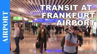 TRANSIT WALK AT FRANKFURT Airport FRA Terminal 1  Connection Flight Transfer Arriving amp Departing [upl. by Ole]