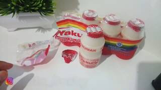 11 Manfaat Minum Yakult Setiap Hari [upl. by Anavoj]