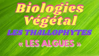 Cours Biologies Végétal Les Thallophytes « Les algues » [upl. by Bethena286]