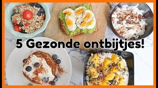 5 Recepten voor een Gezond Ontbijt  OPTIMAVITA [upl. by Caruso]