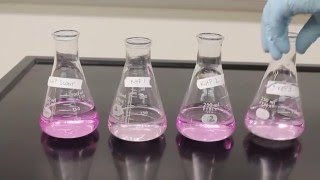 Titration Video [upl. by Meelak]